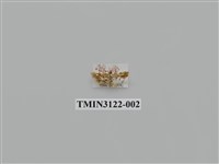 藏品(螟蛾227)的圖片